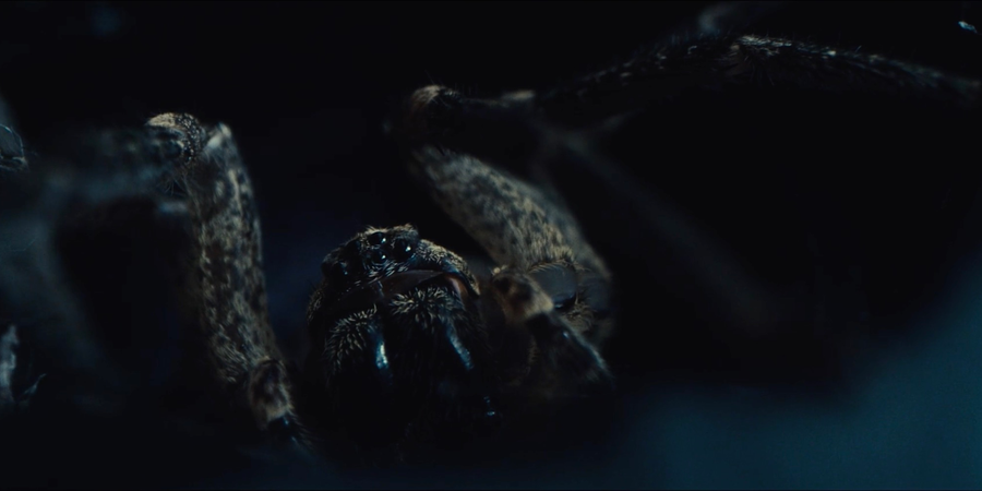 Remote Editing on 'Atom and Void'